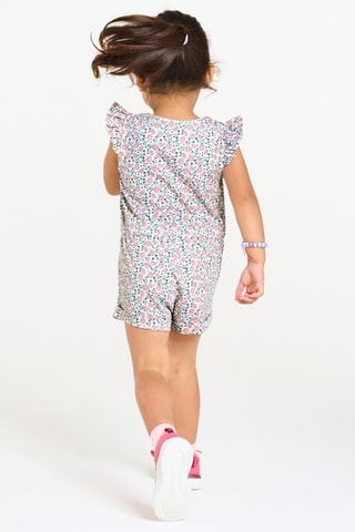 Mono - Violeta - Obaïbi