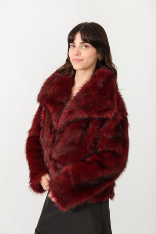 Veste droite  - Bordeaux