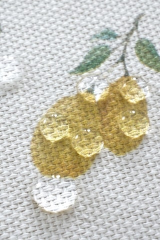 Tovaglia antimacchia Bettina - Bianco