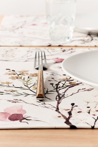 2 tovagliette - 50 x 40 cm