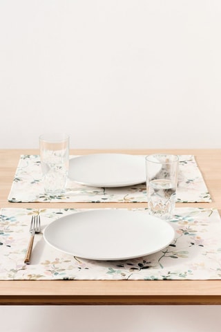 2 tovagliette - 50 x 40 cm