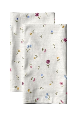 2 strofinacci - Ecrù e verde