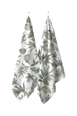 2 strofinacci - Verde