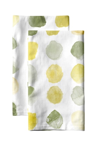 2 strofinacci - Bianco e verde