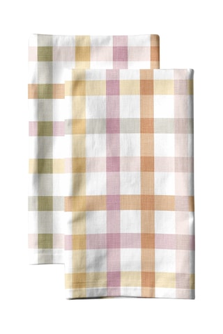 2 strofinacci - Bianco e verde