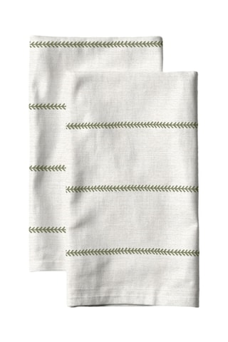 2 strofinacci - Beige e verde