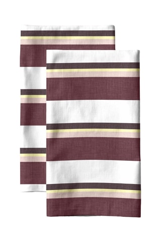 2 strofinacci - Bianco e marrone