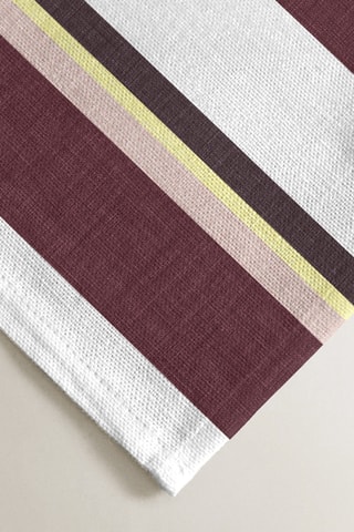 2 strofinacci - Bianco e marrone