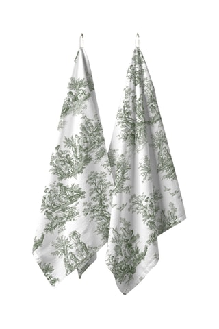 2 strofinacci - Verde scuro