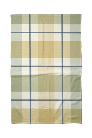 2 strofinacci - Verde e bianco