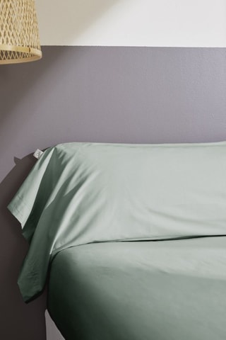Taie de traversin en percale de coton 80 fils/cm² Bally  - Céladon