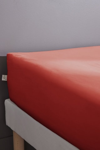 Drap-housse en percale de coton 80 fils/cm² Bally  - Terracotta