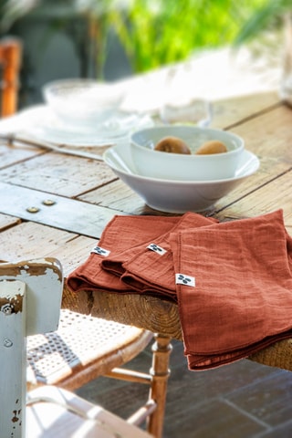 3 serviettes de table Gaïa - Terracotta