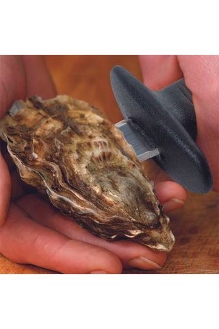 Plateau à fruits de mer et couteau à huîtres en acier inoxydable - 36,4 cm