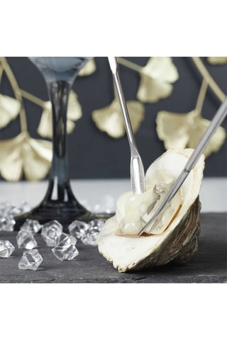 4 curettes à crustacés en acier inoxydable - 
18 cm