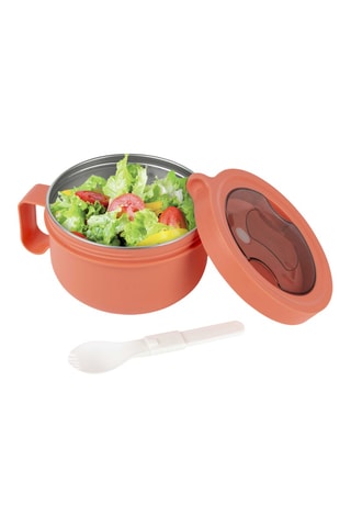 Lunch box en acier inoxydable - 17 x 14,5 x 9,4 cm - modèle aléatoire