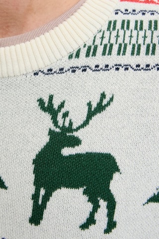 Pull - Gris clair et vert