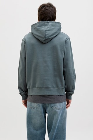 Sweat à capuche - Gris