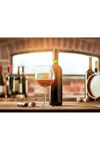 Découvertes œnologiques pour 2 : cours, dégustations ou visites de vignobles - 2 personnes - Validité 39 mois