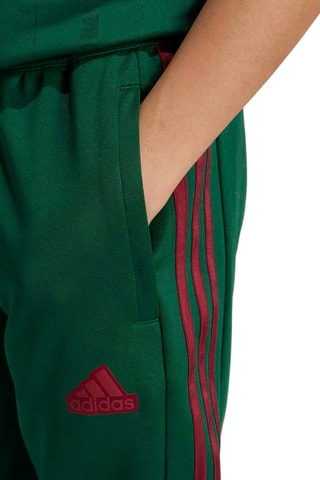 Broek Tiro Nations - Groen