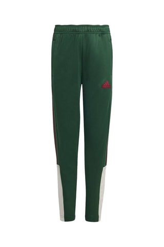 Broek Tiro Nations - Groen