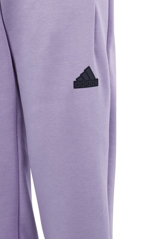 Broek Z.N.E - Lichtpaars