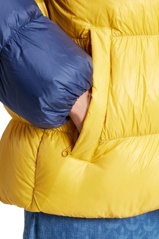 Gewatteerde Jas met Capuchon Fit Adicolor Regen - Marineblauw