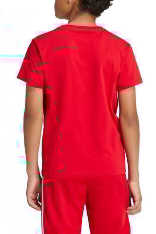 T-shirt Adicolor - Rood en Wit