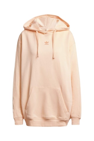 Sweater met Capuchon Essentials - Roze