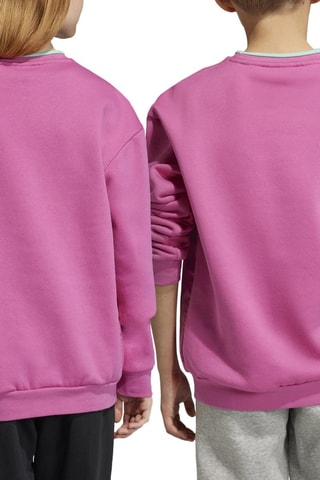 Sweater U Fleece Crew - Roze