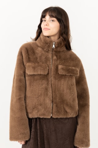 Casaco direito - Castanho