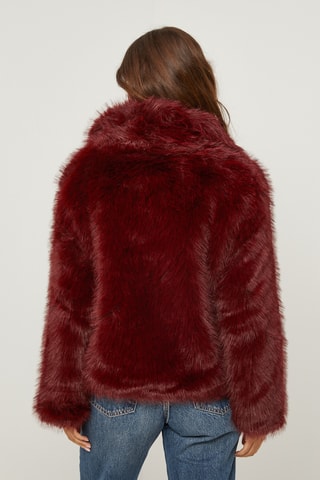 Casaco direito - Bordô