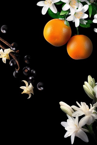 Coffret Prestige My Twist Edição Natal 2025 - 4 produtos