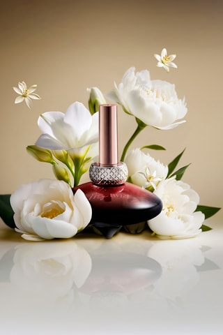 Coffret Prestige My Twist Edição Natal 2025 - 4 produtos