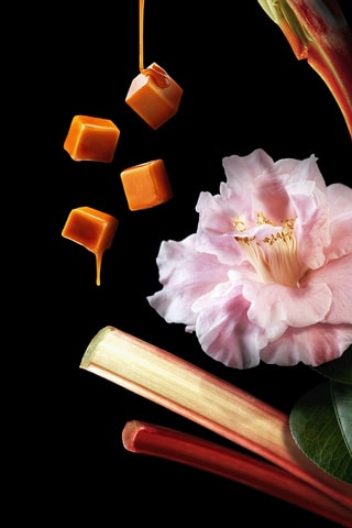 Coffret Prestige Para Ela Edição Natal 2025 - 4 produtos