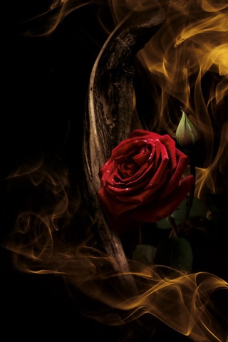 Cristal Oud Mauboussin - Eau de Parfum 100 ml - Oriental