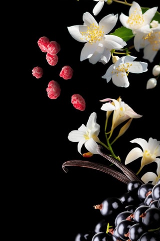 Mademoiselle Twist Mauboussin - Eau de parfum 40 ml - Floral Gourmand