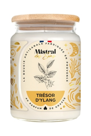Vela perfumada tarro grande - Tesoro de Ylang - 700 ml