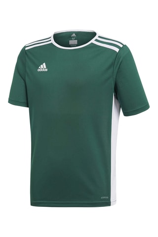 Camiseta - Verde oscuro
