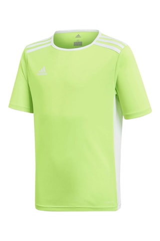 Camiseta - Verde claro