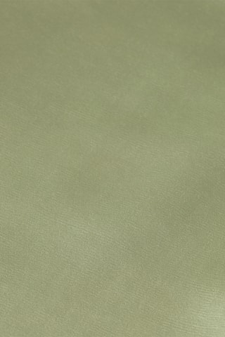 Pantalon taille haute - Vert clair