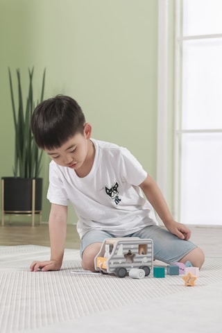 Camion à tirer avec trieur de formes en bois - Dès 18 mois