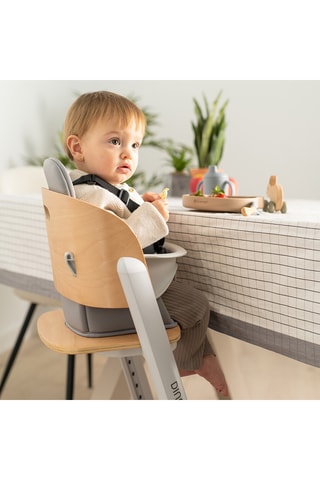 Chaise haute évolutive - Dès 6 mois - Jusqu’à 15 kg