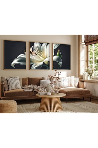 3 quadros - 70 x 50 cm -