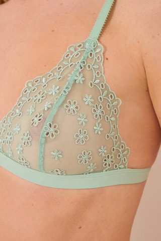 Beha Lichtgroen