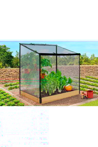 Serre de potager en pin Aroma XXL - 115 x 80 x 130 cm