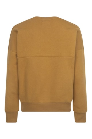 Felpa  - Marrone e grigio