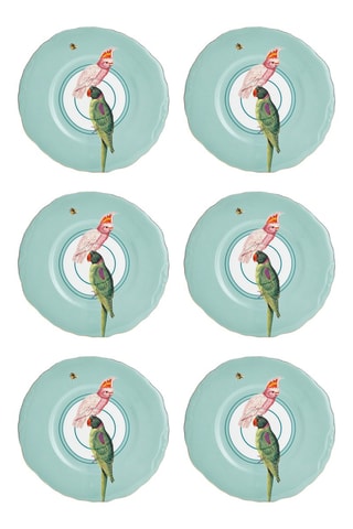 6 assiettes plates en porcelaine Perroquet - 22 cm