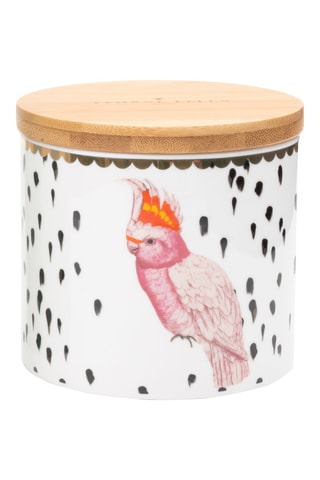 Pot hermétique en porcelaine Perroquet - 9 cm