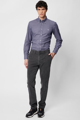 Calças chino - Cinzento - Harmont & Blaine